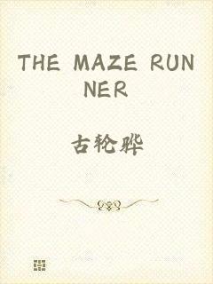 THE MAZE RUNNER